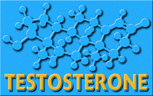 testosterone male hormone test