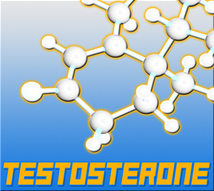 the importance of testosterone levels