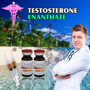 Signs of healthy testosterone levels