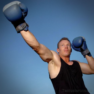 Improve your testosterone testing with boxing