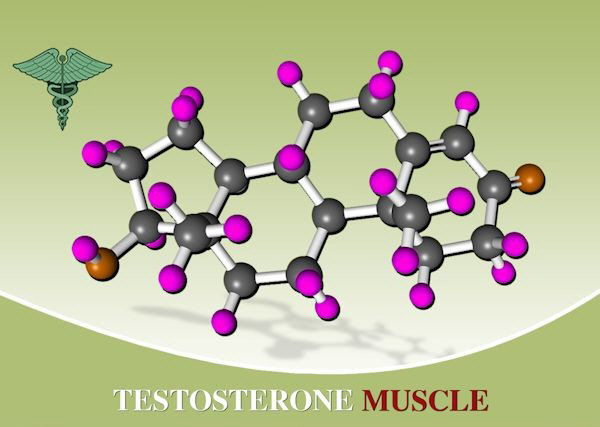 supplements to increase testosterone levels