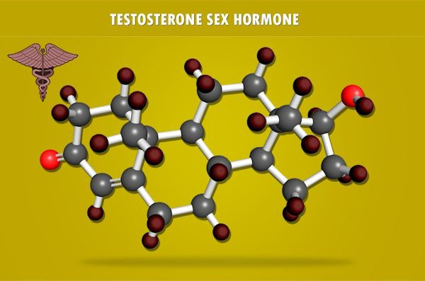 testosterone decline charts