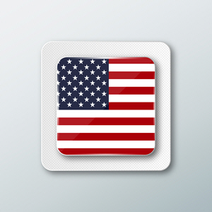 USA Flag 575500525