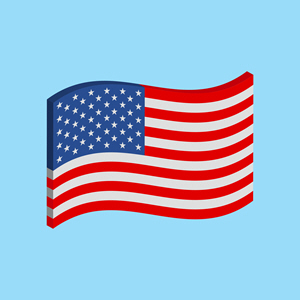 USA Flag 616282388