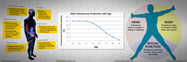 What Causes Low Testosterone?