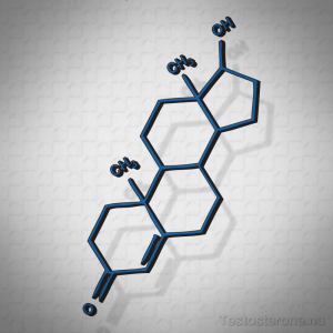 Testosterone Molecule