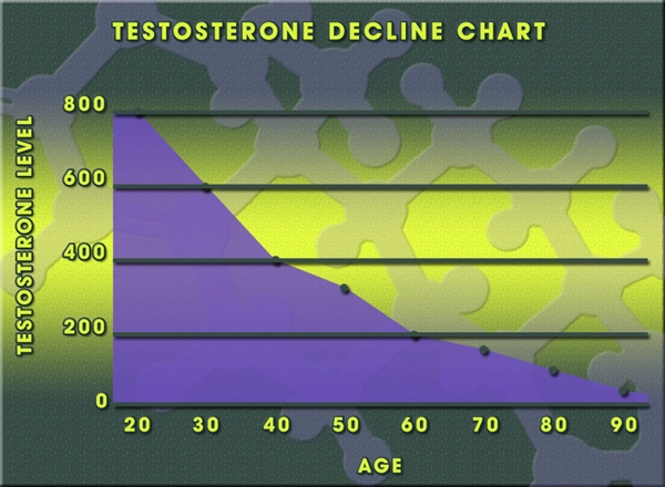 vitamins to increase testosterone levels.webp