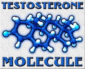 hormone replacement therapy testosterone