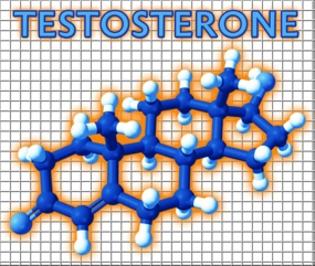 hormone therapy for testosterone men