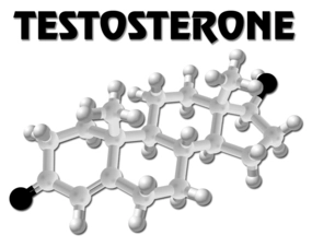 is it low testosterone t quiz