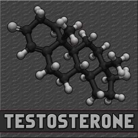 is it testosterone low t quiz