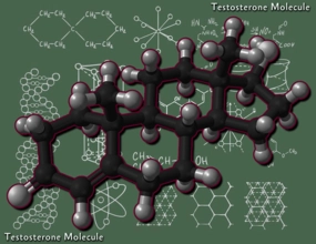 low t symptoms men testosterone