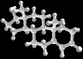 male hormone test testosterone