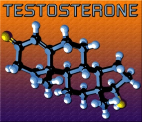 natural hormone replacement therapy testosterone