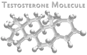 testosterone hormone therapy for men