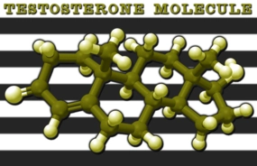 testosterone low t