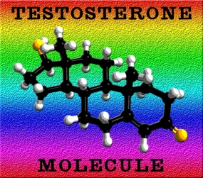 testosterone low testosterone