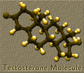 testosterone male hormone replacement