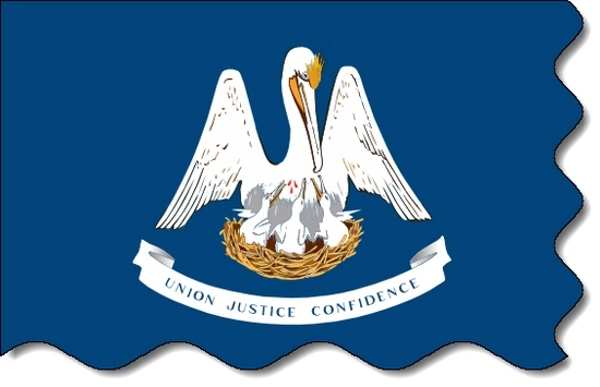 Louisiana state flag, medical clinics