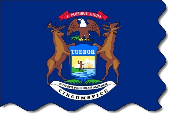 Michigan state flag, medical clinics