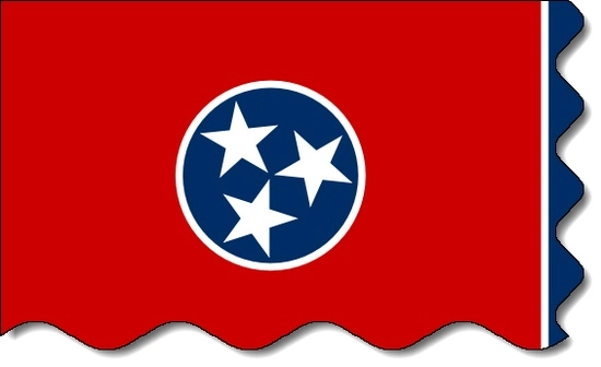 Tennessee state flag, medical clinics