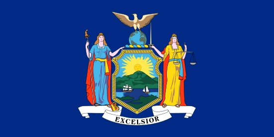 New York state flag, medical clinics