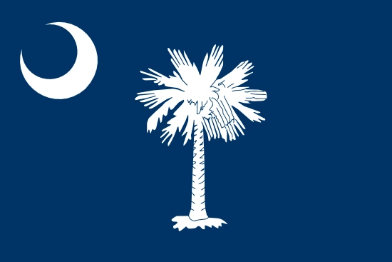 South Carolina state flag, medical clinics