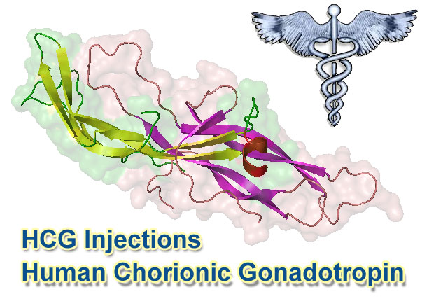 injectable-hcg-diet Human Chorionic Gonadotropin Molecule