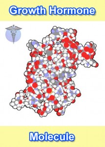 HGH Molecule