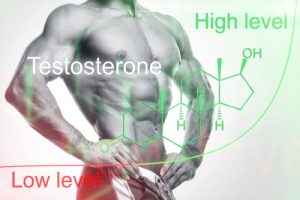 low and high testosterone levels