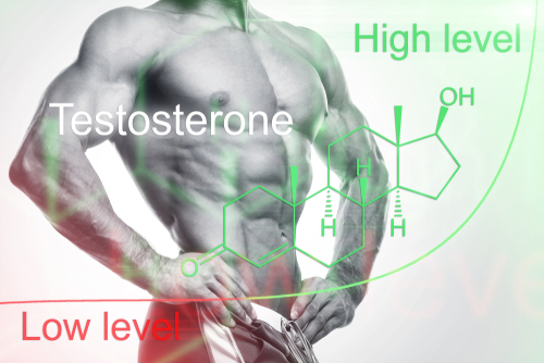 What Happens If You Take Testosterone Without Working Out All About Testosterone Frequently Asked Questions and HRT