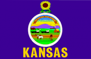 kansas state flag 145876_640 300x194