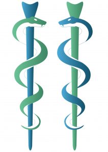 caduceus with two snakes facing 212x300