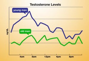Chart of dropping testosterone levels as men age 300x204