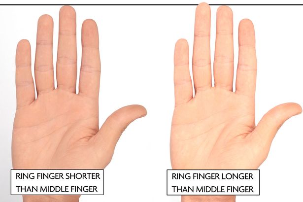 male finger length