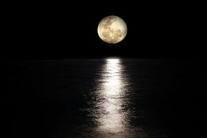 testosterone levels are affected by the moon 300x200