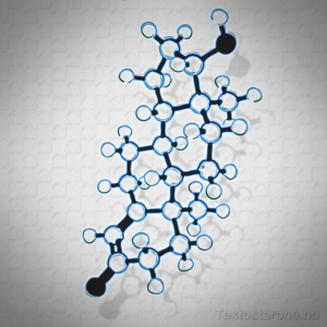 Testosterone Molecule