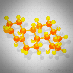 Testosterone and Body Building Molecule